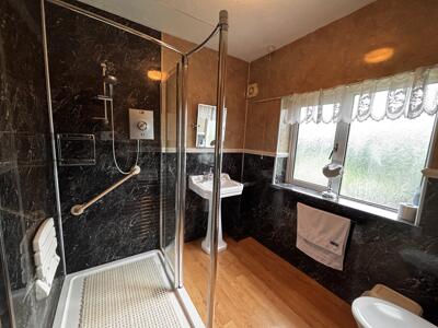 Picture 7